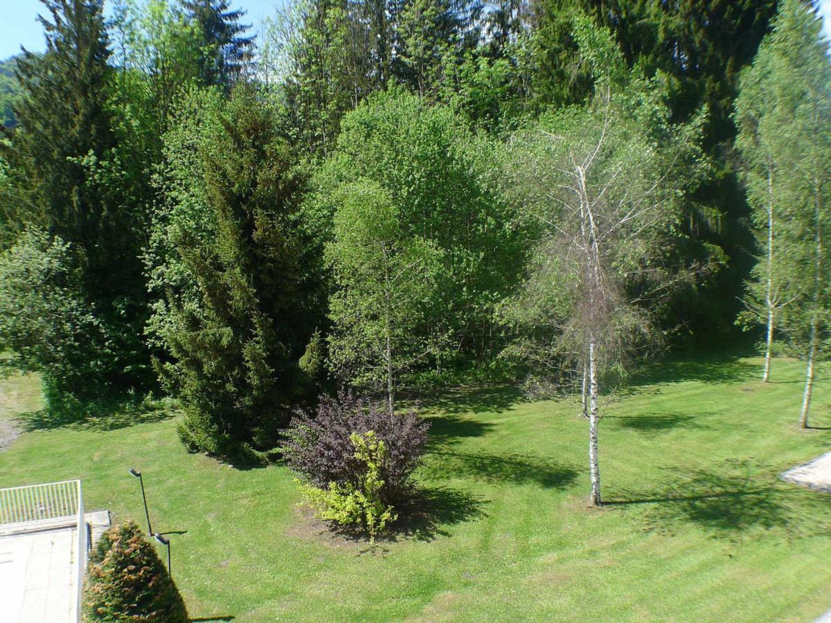 Appartement Confortable Avec Piscines, Terrasse Et Parking A Samoens - Fr-1-629-100 Exterior photo
